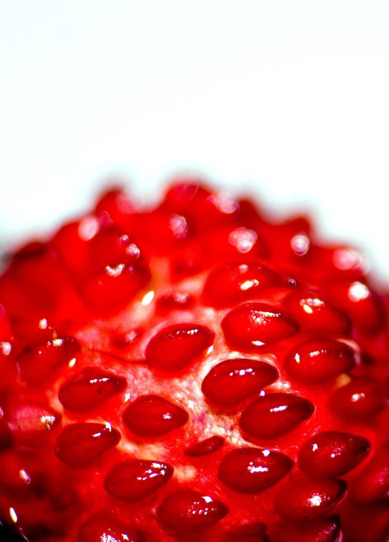 Berry_by_ambientrails.jpg